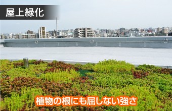 屋上緑化