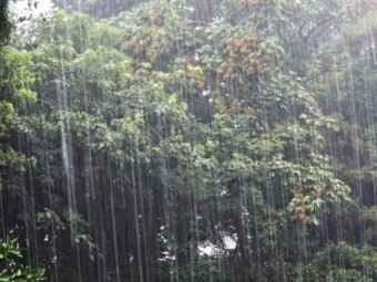 雨1