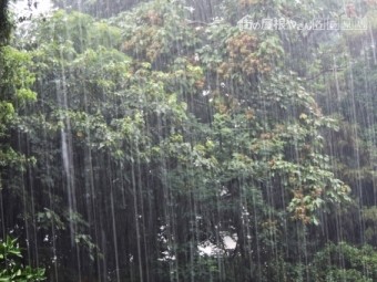 雨1