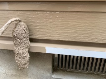 20190527_190606_0021-columns2
