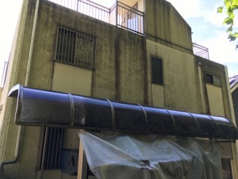 施工前 コケ