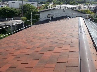 ニチハパミール