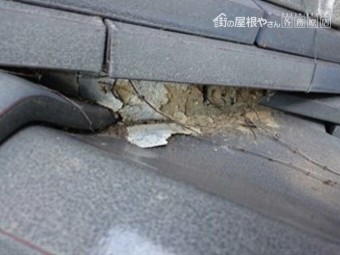 しっくい雨漏り3