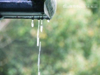 雨3