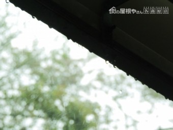 雨2