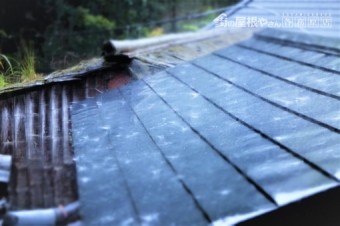 雨の屋根